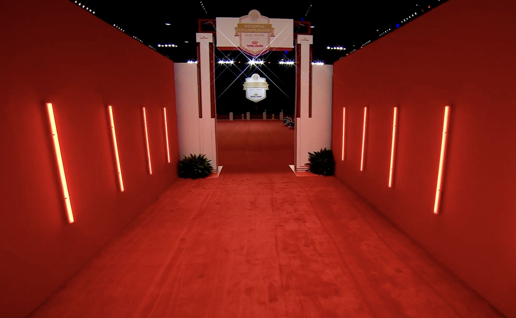 Questions of the Week